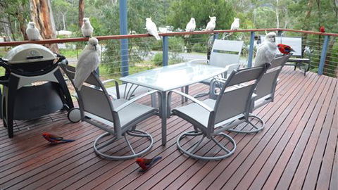Blue Ridge Retreat - Accommodation Tasmania 2