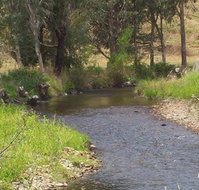Murphy's Cabin - Accommodation Tasmania