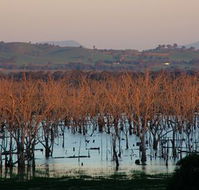 Salisbury - Accommodation Tasmania