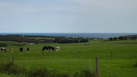 Serenity Views - Accommodation Tasmania 4