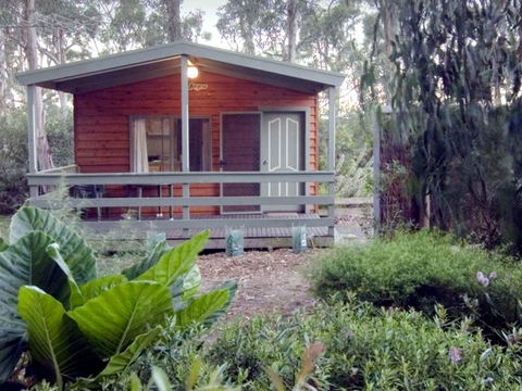 A Maze 'N Things Holiday Park - Accommodation Tasmania 0