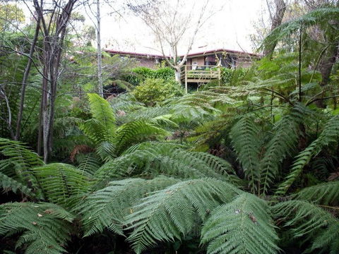 Adelaide Hills Bed & Breakfast Accommodation - Accommodation Tasmania 3