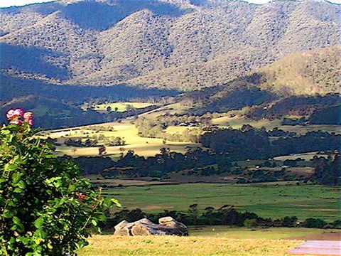 Allamar Motor Inn - Accommodation Tasmania 1