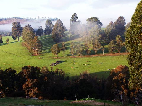 Balingup Vista Chalets - Accommodation Tasmania 4