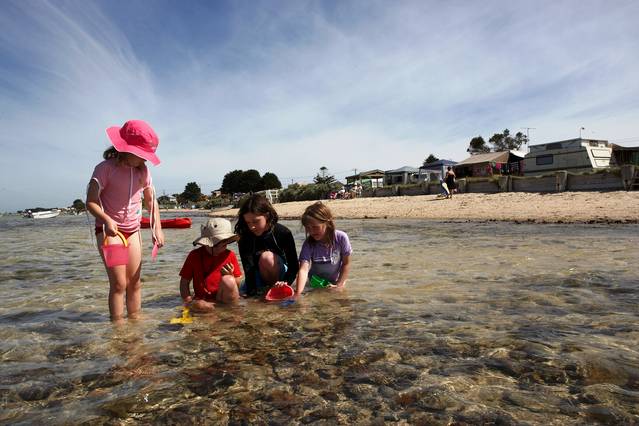 Indented Head VIC Accommodation Tasmania