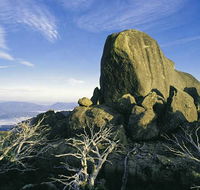 Big4 Taunton Farm Holiday Park - Accommodation Tasmania