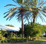 Merino Motor Inn - Accommodation Tasmania