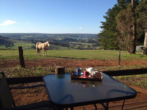 Balingup Heights Hilltop Forest Cottages - Accommodation Tasmania 7