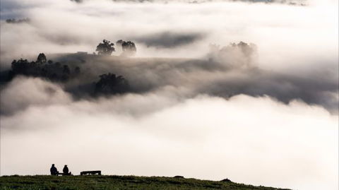 Balingup Heights Hilltop Forest Cottages - Accommodation Tasmania 9