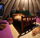 Aranyani Bison Adventure Tourist Park - Accommodation Tasmania