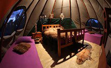 Aranyani Bison Adventure Tourist Park - Accommodation Tasmania 0