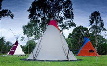 Aranyani Bison Adventure Tourist Park - Accommodation Tasmania 1