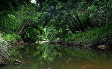 Aranyani Bison Adventure Tourist Park - Accommodation Tasmania 3