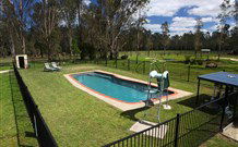 Aranyani Bison Adventure Tourist Park - Accommodation Tasmania 4