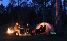 Aranyani Bison Adventure Tourist Park - Accommodation Tasmania 2