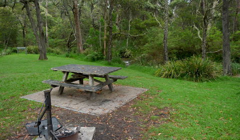 Chaelundi Campground - Accommodation Tasmania 0