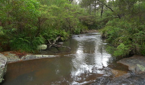 Chaelundi Campground - Accommodation Tasmania 1