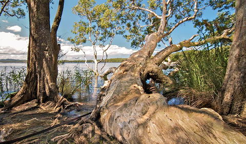 Dees Corner Campground - Accommodation Tasmania 1