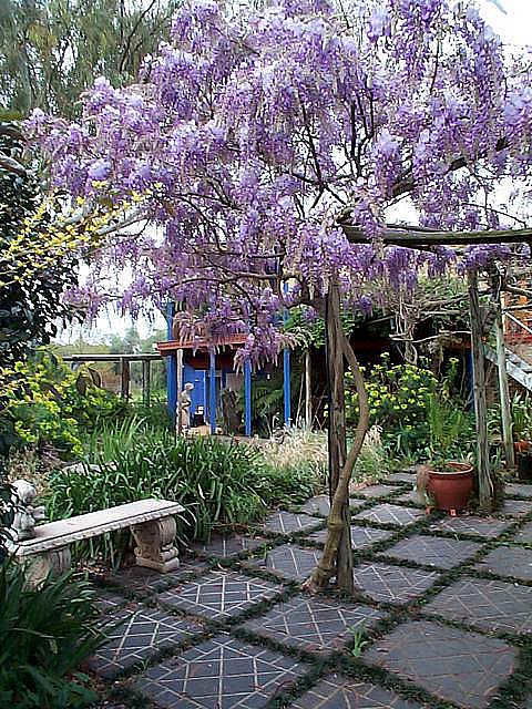 The Retreat At Froog Moore Park - Accommodation Tasmania 2