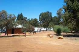 Toodyay Caravan Park - Avon Banks - Accommodation Tasmania 0