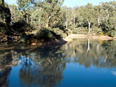 Toodyay Holiday Park & Chalets - Accommodation Tasmania 4