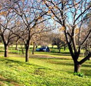 Wellington Caves Caravan Park - Accommodation Tasmania