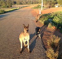 Bindoons Windmill Farm - Accommodation Tasmania