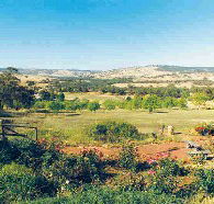 Pecan Hill Bed and Breakfast - Accommodation Tasmania