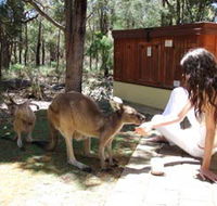 Yelverton Brook Eco Spa Retreat and Conservation Sanctuary - Accommodation Tasmania