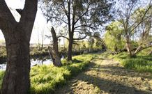 Fossickers Tourist Park - Accommodation Tasmania 5