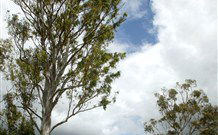 Glen Villa Resort And Tourist Park Casino - Accommodation Tasmania 0