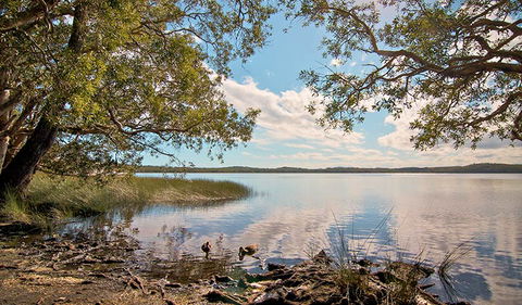 Johnsons Beach Campground - Accommodation Tasmania 1
