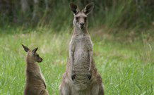 Michael's Clarence Valley Retreat - Accommodation Tasmania 7