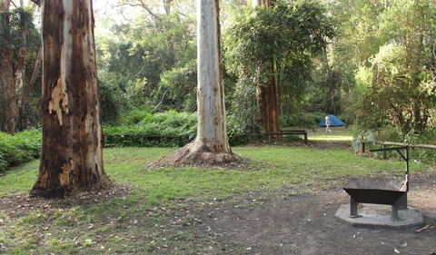 Mill Creek Campground - Accommodation Tasmania 2