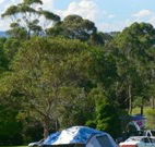 Milton Valley Holiday Park - Accommodation Tasmania