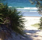 Myola Tourist Resort Caravan Park - Accommodation Tasmania