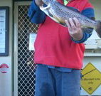 Rainbow Pines Tourist Caravan Park - Accommodation Tasmania