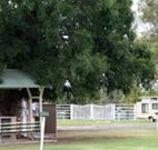 Warialda Caravan Park - Accommodation Tasmania