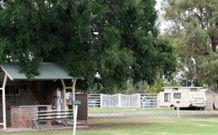 Warialda Caravan Park - Accommodation Tasmania 0