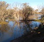 Warrawong on the Darling - Accommodation Tasmania