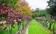 Peppers Convent Hunter Valley - Accommodation Tasmania 4