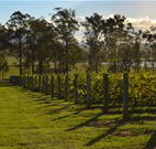 H Boutique Hotel - Pokolbin - Accommodation Tasmania