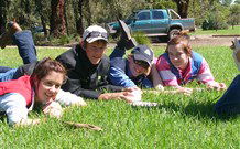 Murrumbidgee Rural Studies Centre Accommodation - Yanco - Accommodation Tasmania 2