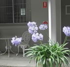 Pine Lodge Motel - Woolgoolga - Accommodation Tasmania