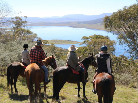 Reynella Homestead And Horseback Rides - Accommodation Tasmania 0