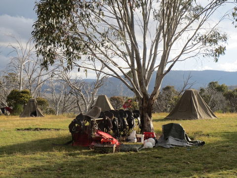Reynella Homestead And Horseback Rides - Accommodation Tasmania 1