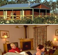 Twin Trees Country Cottages - Accommodation Tasmania
