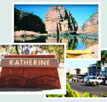 Red Gum Tourist Park - Accommodation Tasmania