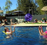 Kingston On Murray Caravan Park - Accommodation Tasmania