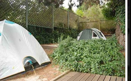 The Flying Fox Backpackers - Accommodation Tasmania 2